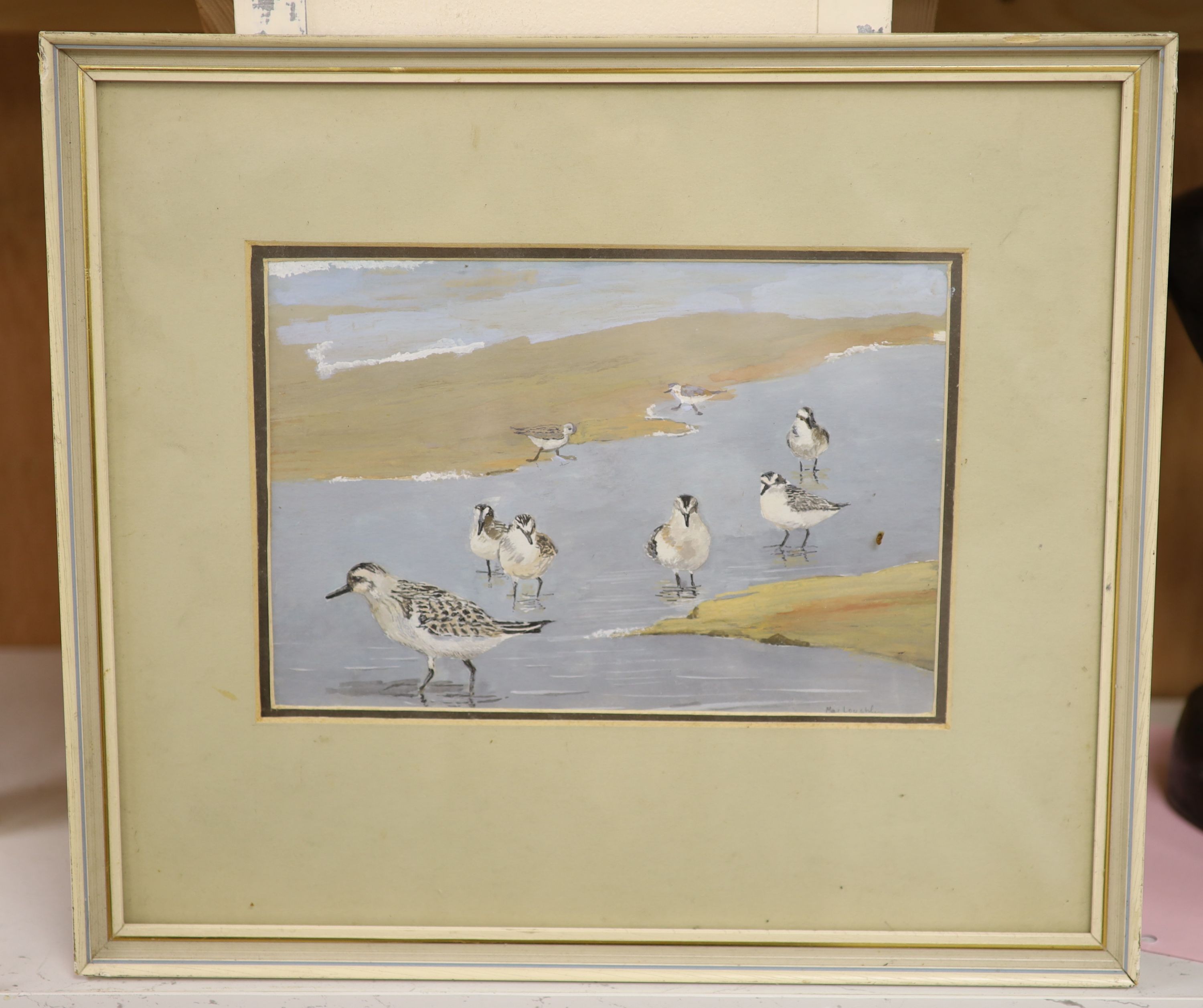 J. Macloughlin, gouache, Sandpipers on the shore, signed, 16 x 23cm